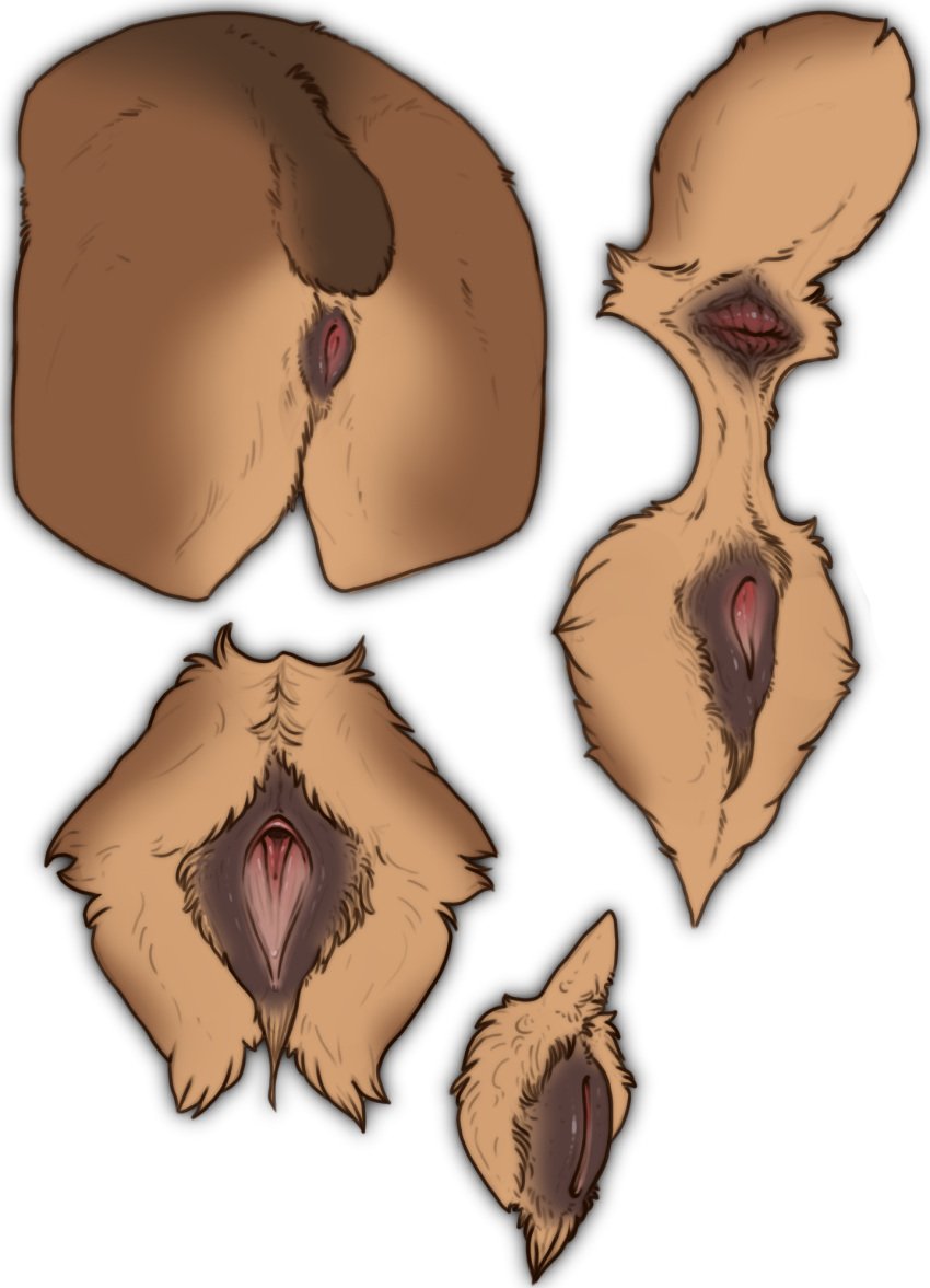 anatomically_correct anatomically_correct_genitalia anatomically_correct_pussy animal_genitalia animal_pussy anus ass bear brown_bear female feral genitals grizzly_bear hi_res kuruk_(character) mammal pussy raised_tail rear_view solo spread_pussy spreading stygimoloch_(artist) tail ursine ursine_pussy