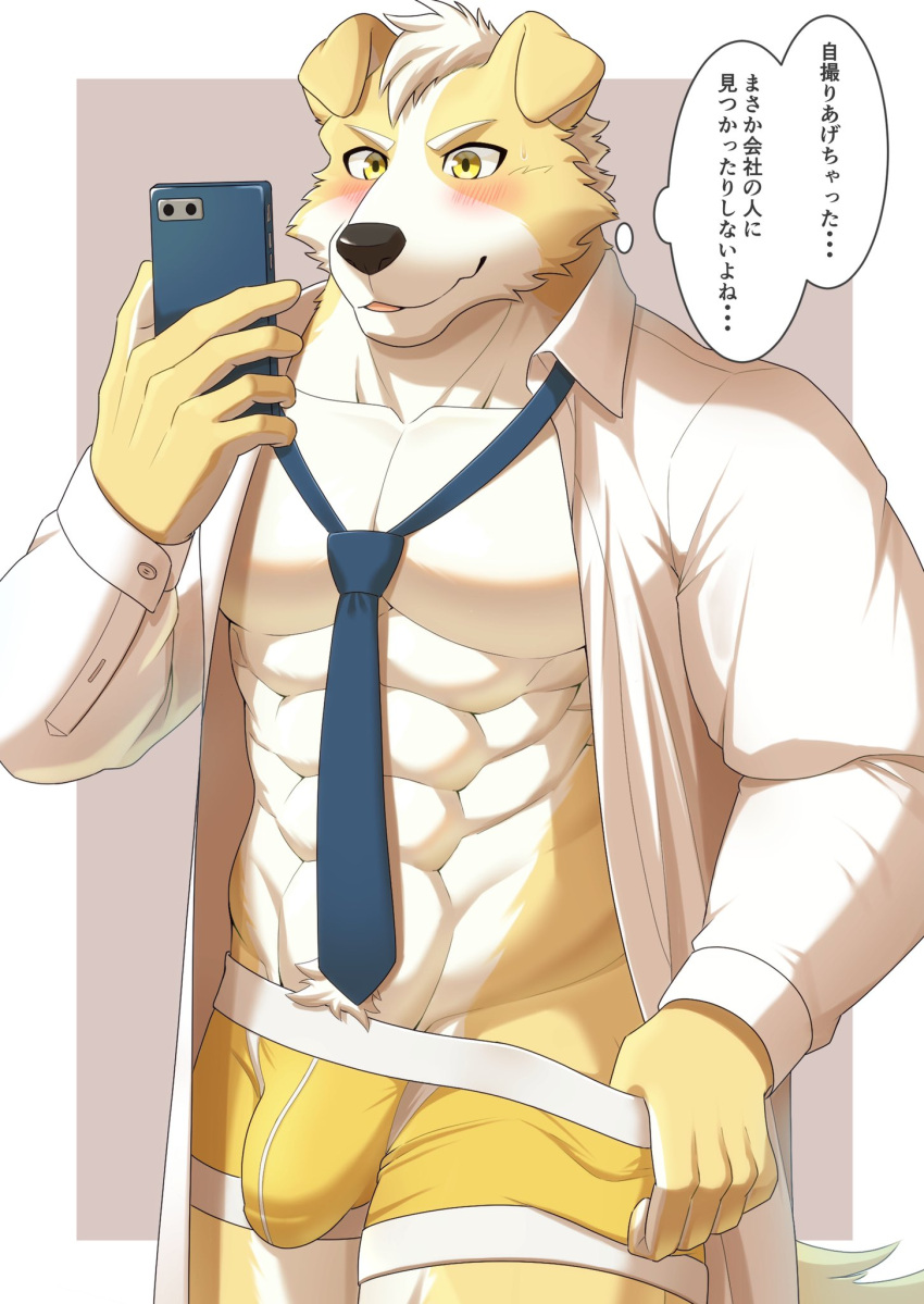 2022 abs anthro blush boxer_briefs bulge canid canine canis cellphone clothed clothing detailed_bulge digital_drawing_(artwork) digital_media_(artwork) domestic_dog dress_shirt fur genital_outline hair hi_res holding_cellphone holding_object holding_phone holding_smartphone japanese_text kiramofu male mammal muscular muscular_anthro muscular_male necktie open_clothing open_shirt open_topwear partially_clothed pecs penis_outline phone shirt smartphone solo text topwear underwear white_body white_clothing white_fur white_hair white_shirt white_topwear yellow_body yellow_boxer_briefs yellow_clothing yellow_eyes yellow_fur yellow_underwear