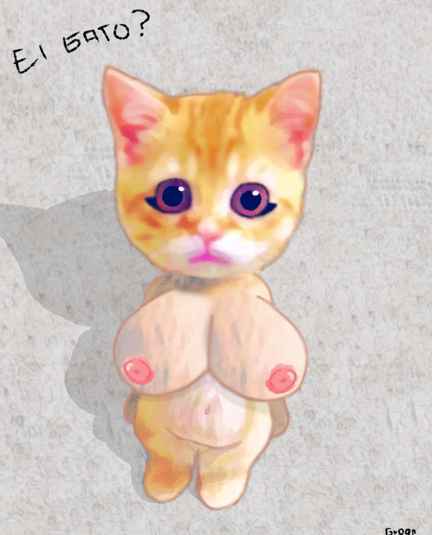 ._. animal big_breasts cat cat_orange domestic_cat el_gato feline meme silly_cats tagme