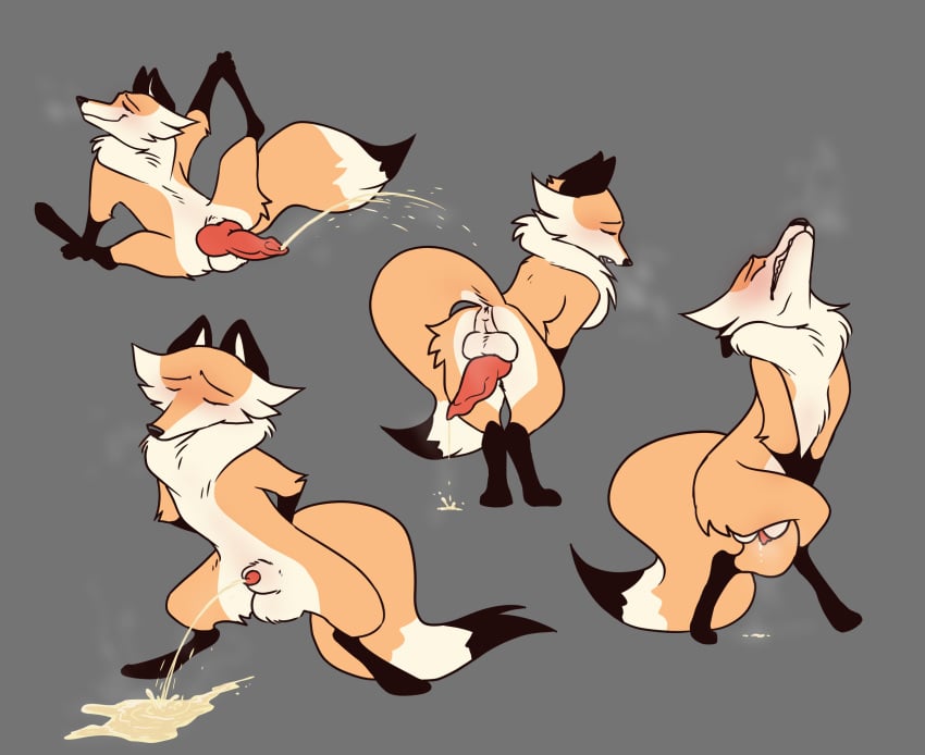 anonymous_artist anthro balls blush bodily_fluids canid canine cheek_tuft closed_eyes crossed_legs facial_tuft feral fluffy fluffy_balls fluffy_chest fluffy_tail fox fur genital_fluids genitals half-closed_eyes hi_res male mammal narrowed_eyes omorashi orange_body orange_fur peeing raised_leg red_fox relaxed_expression simple_character solo spread_legs spreading tail tuft urine urine_drip urine_on_ground urine_pool urine_stream watersports