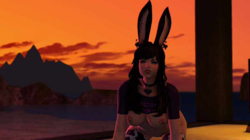 final_fantasy final_fantasy_xiv solo_female viera vuwu_u