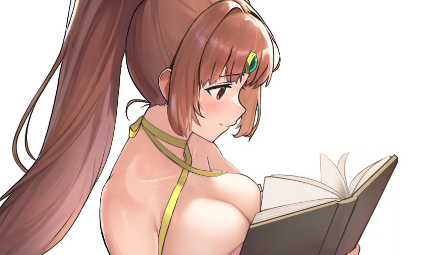 1girls ahonoko bare_shoulders book breasts brown_eyes brown_hair circlet cleavage collarbone criss-cross_halter dress female female female_only fire_emblem fire_emblem:_mystery_of_the_emblem fire_emblem:_shadow_dragon halterneck highres holding holding_book large_breasts linde_(fire_emblem) long_hair nintendo open_book simple_background sleeveless sleeveless_dress smile solo upper_body very_long_hair white_background