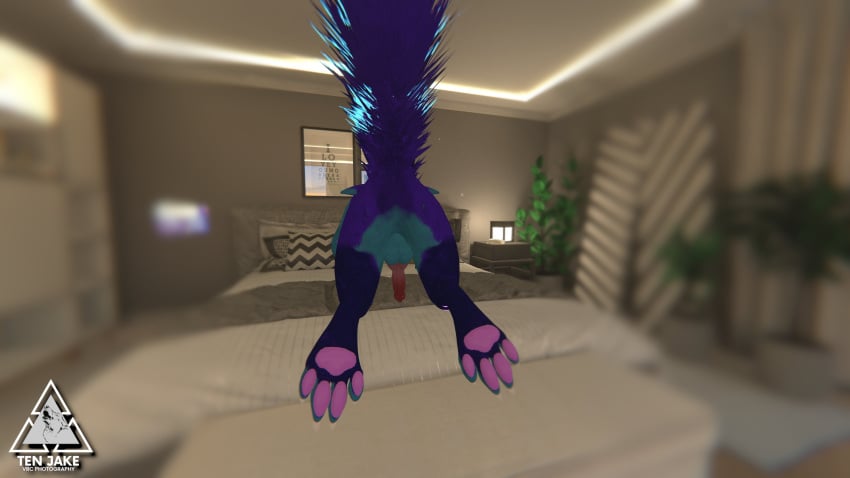 3d anthro anthro_only canid canine fur furry furry_only male male_only rexouium tagme ten_jake twitter url vr_media vrchat vrchat_avatar wolf