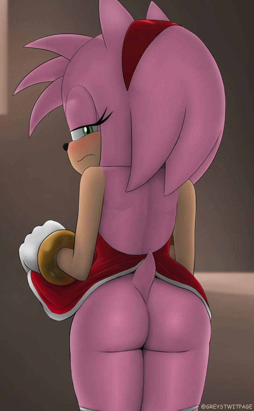 absurd_res amy_rose ass bottomwear clothed clothing clothing_lift detailed_background embarrassed eulipotyphlan female greystwitpage_(artist) hedgehog hi_res looking_at_viewer looking_back looking_back_at_viewer mammal sega skirt skirt_lift solo sonic_(series) sonic_the_hedgehog_(series) standing