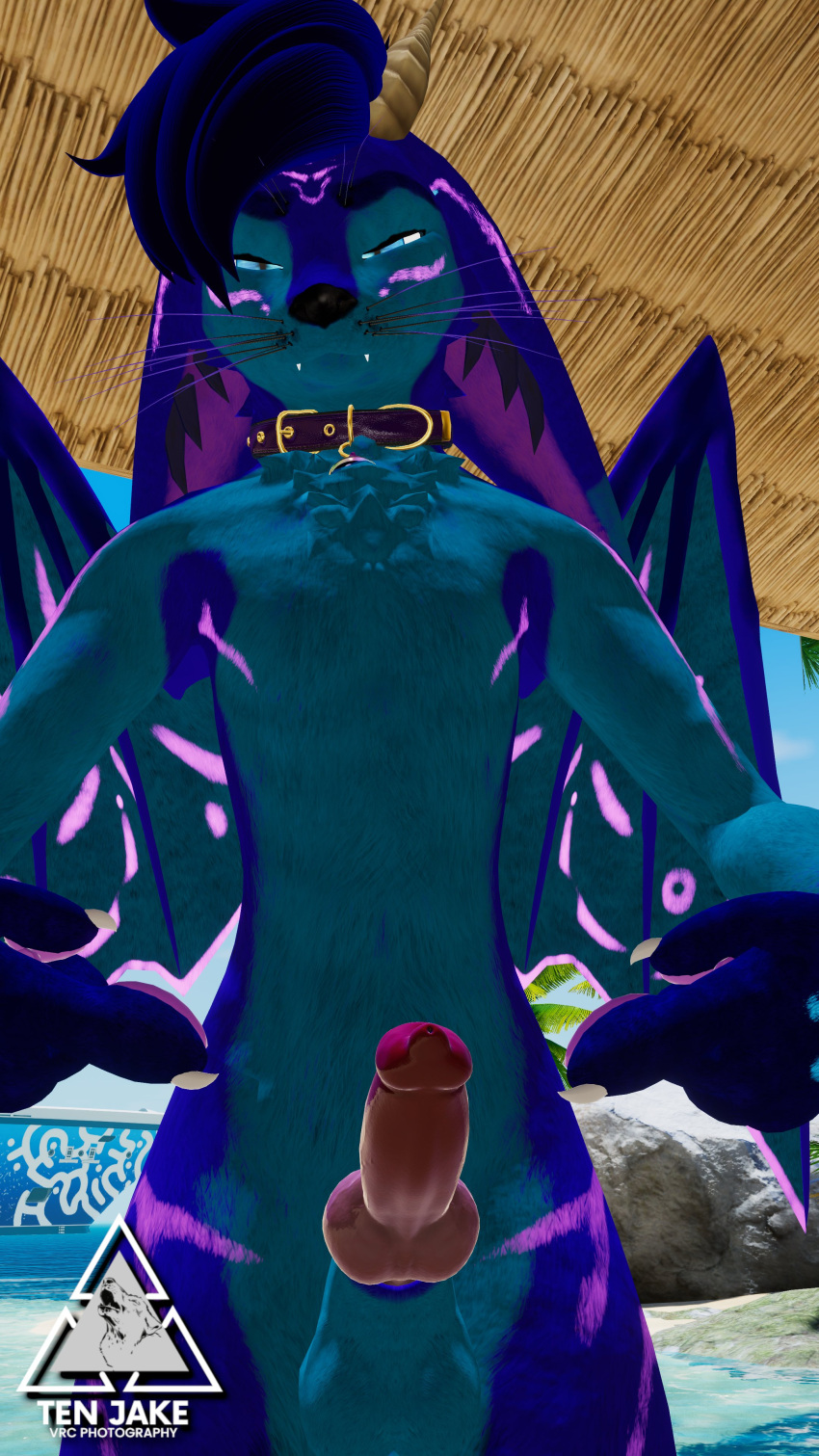 3d animal_genitalia animal_genitals animal_penis anthro anthro_only blue_fur blue_hair canid canine canine_genitalia canine_genitals canine_penis erect erect_penis erection fur furry furry_only knot male male_only penis pink_penis purple_fur red_penis rexouium tagme ten_jake twitter url vr_media vrchat vrchat_avatar wolf