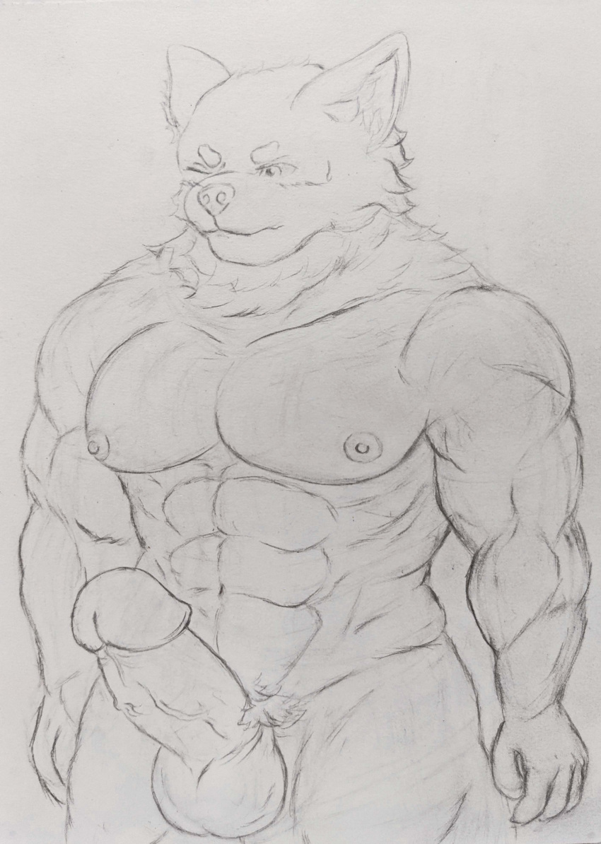 5_fingers abs absurd_res anthro balls big_biceps big_muscles big_pecs big_penis blush bodily_fluids bulge canid canine canis clothed clothing erection fingers genitals hi_res humanoid humanoid_genitalia humanoid_penis ichinoseura male mammal muscular muscular_anthro muscular_male muscular_thighs nipples nude pecs penile penis pubes smile smiling_at_viewer solo solo_focus sweat thick_thighs underwear vein veiny_penis wolf