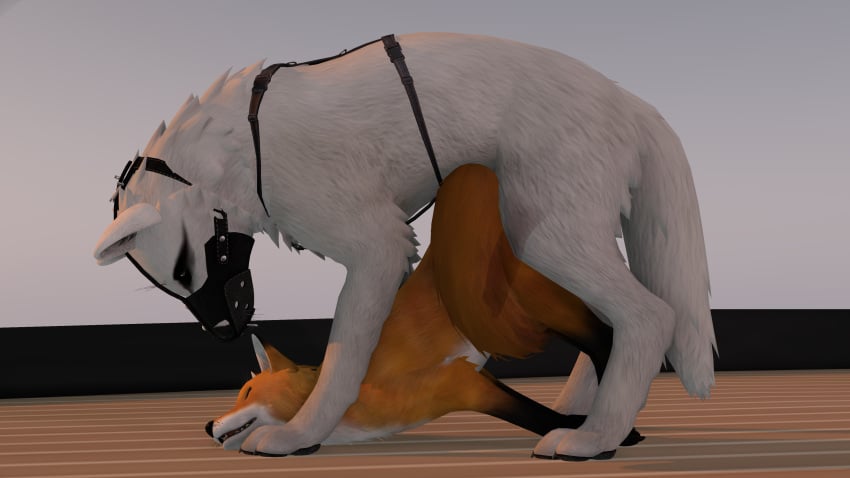 bondage_gear canine canine_genitalia canine_penis feral feral_on_feral feral_penetrated feral_penetrating fox harness interspecies knot knotted_penis male/female orange_fur second_life self_upload size_difference straight videogame white_fur wolf xray_view zeevwolf