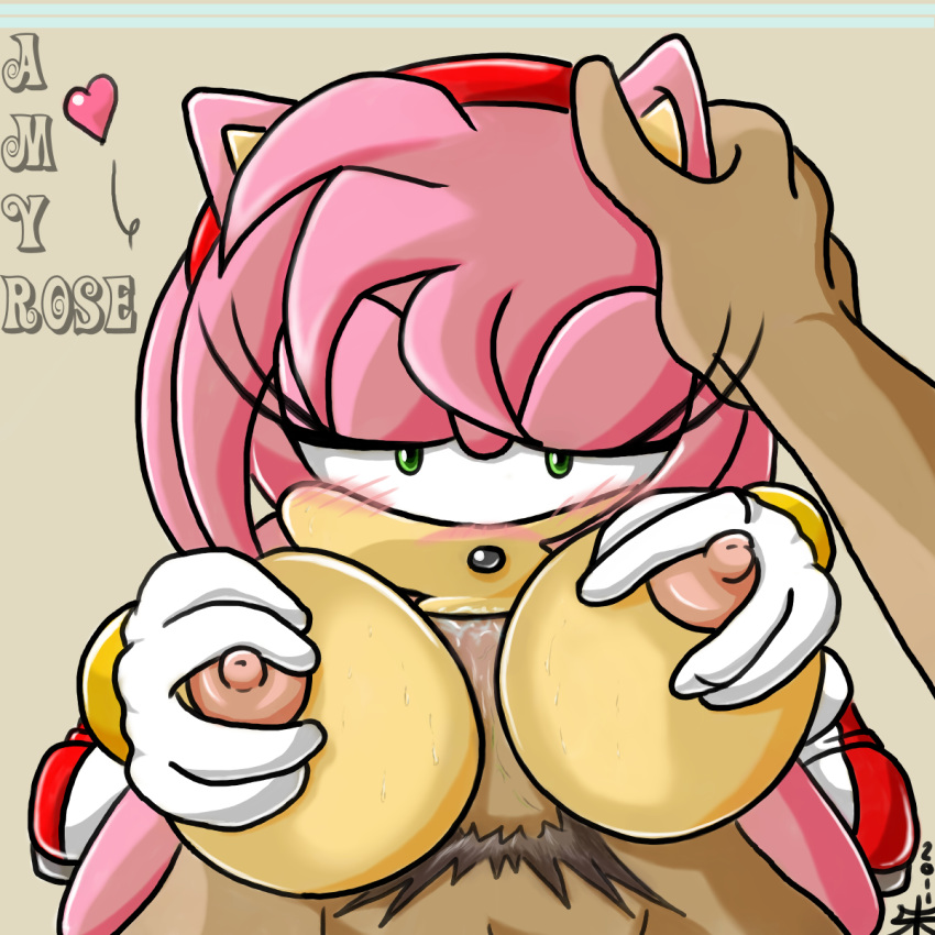 1boy 1girls amy_rose anthro blush breasts color fellatio female fur furry hedgehog human insertion interspecies male male_pov nipples nude oral paizuri penis pov pov_eye_contact sonic_(series) sonic_x straight trancua