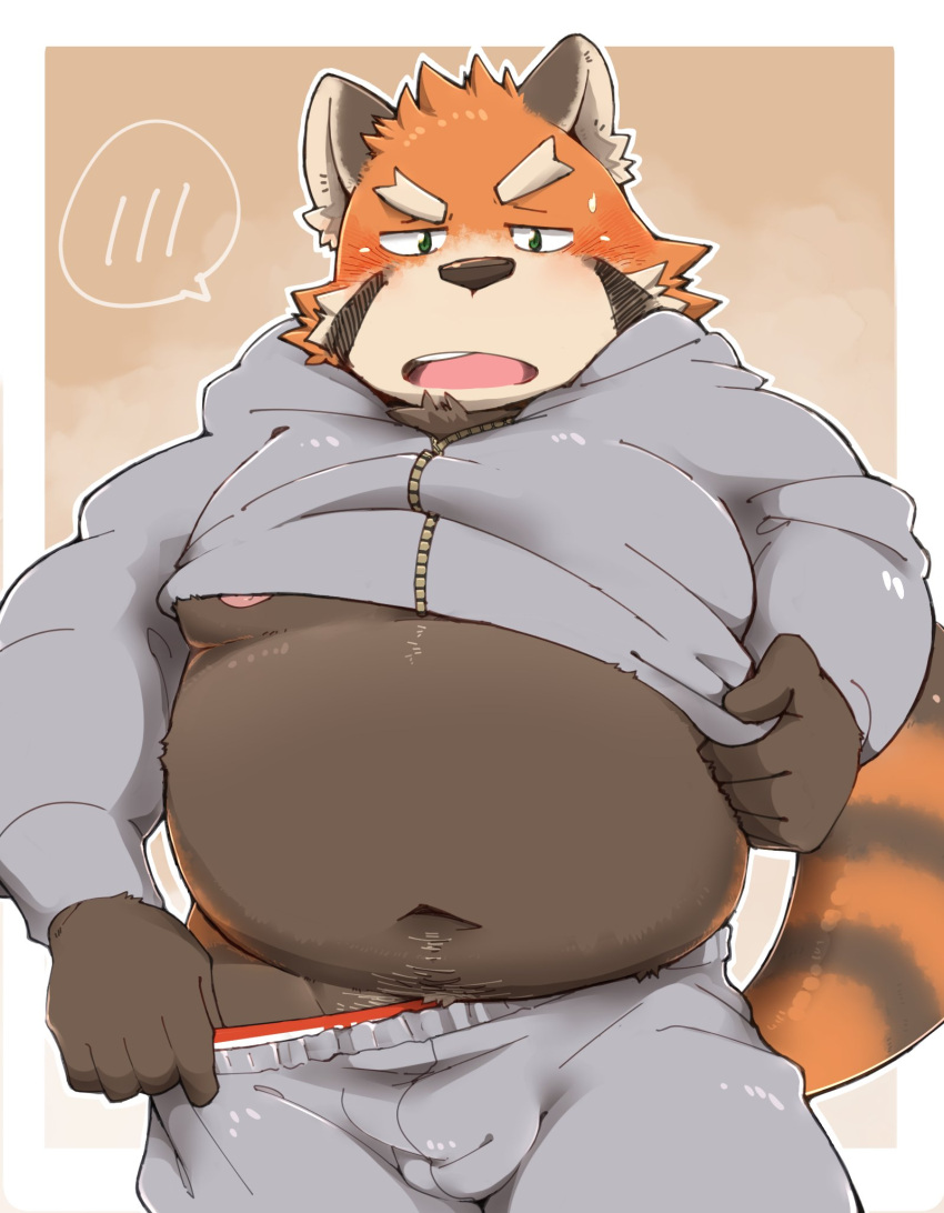 2023 ailurid anthro belly blush bottomwear brown_body bulge clothing hi_res hoodie kemo_nikomi kemono male mammal orange_body overweight overweight_male pants red_panda solo topwear