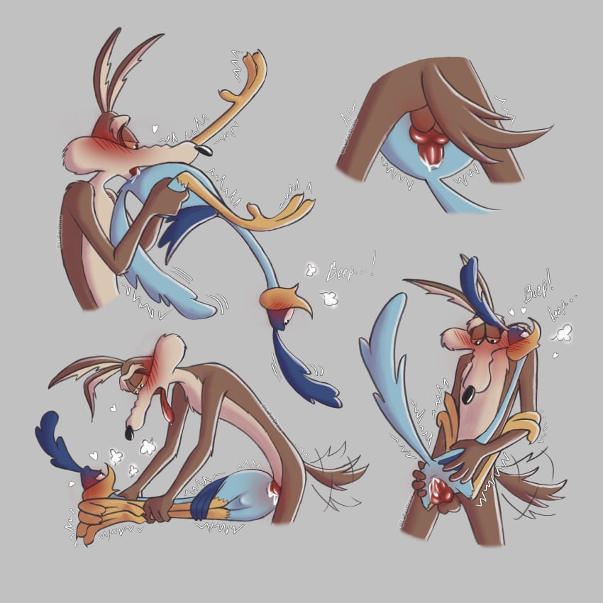 Road Runner (Looney Tunes) Rule 34 Image