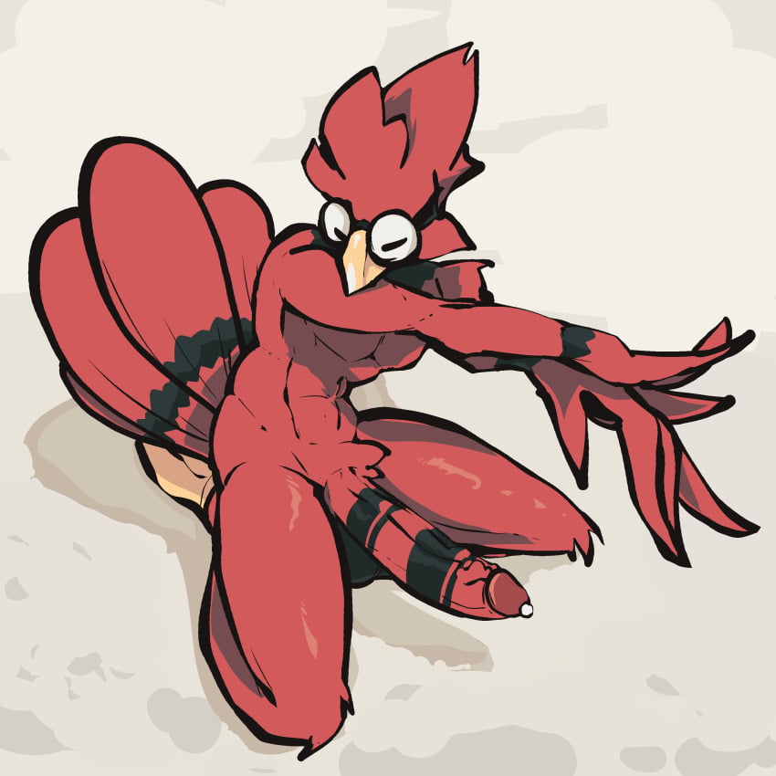 Cardinal (Bird) Rule 34 Image