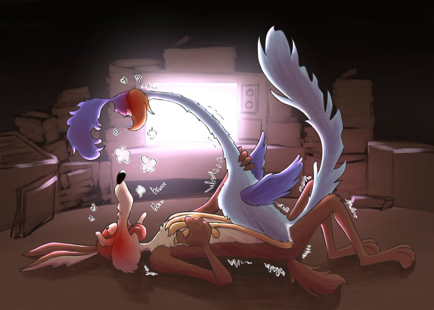 Road Runner (Looney Tunes) Rule 34 Image