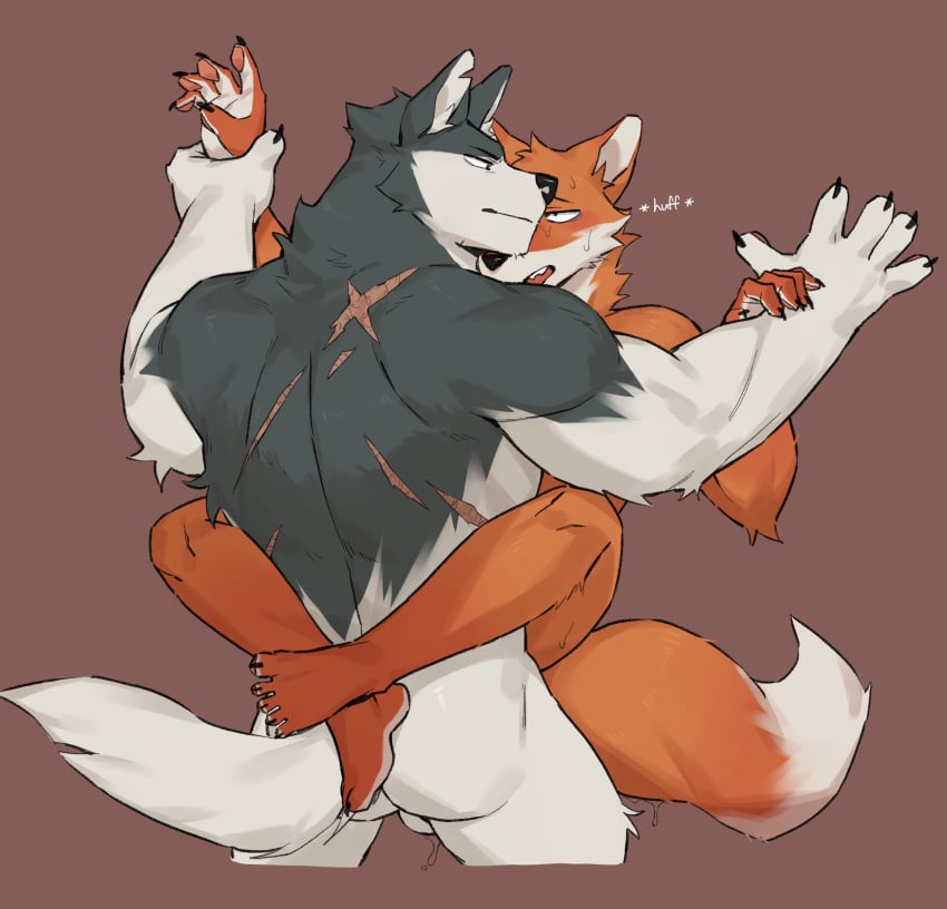 2023 absurd_res anthro anthro_on_anthro anthro_penetrated anthro_penetrating anthro_penetrating_anthro back_scar biped black_body black_fur blush bodily_fluids brown_background canid canine canis claws digital_media_(artwork) duo finger_claws fox fur gakujo gay hi_res leg_wrap male male/male male_only male_penetrated male_penetrating male_penetrating_male mammal multicolored_body multicolored_fur orange_body orange_fur penetration scar sex simple_background sweat two_tone_body two_tone_fur white_body white_fur wolf yaoi