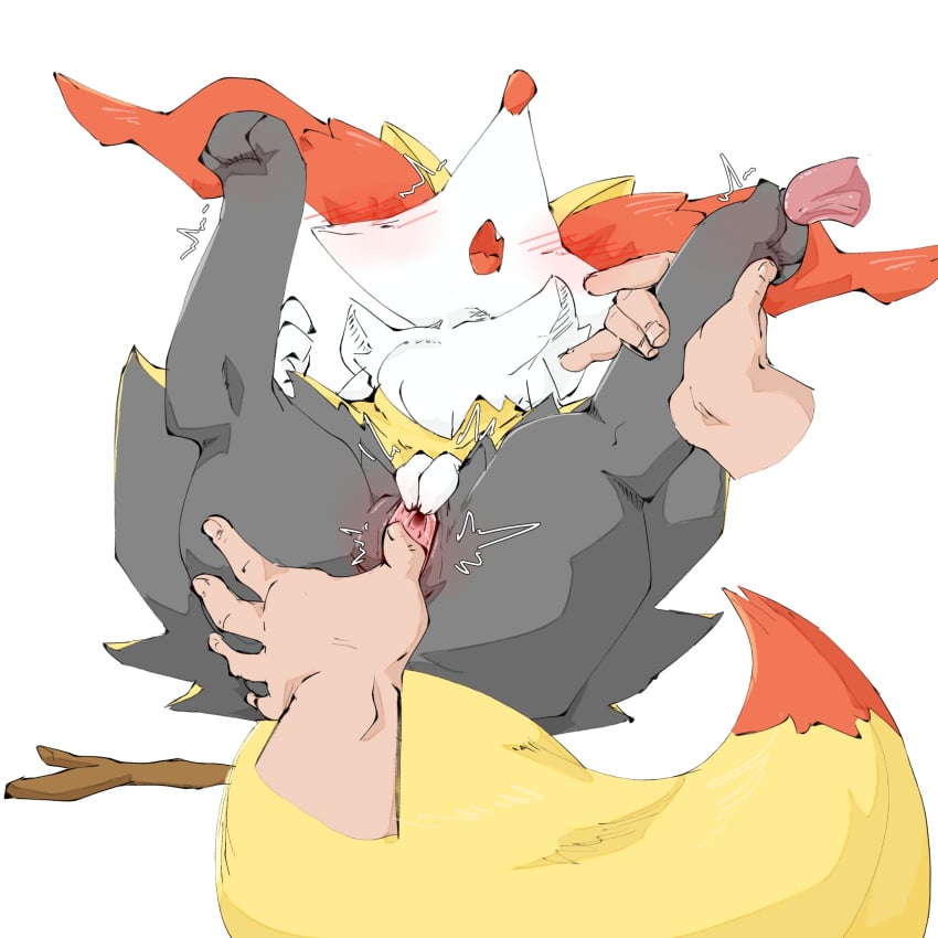 absurd_res aka_leopard anthro ass black_body blush braixen disembodied_hand duo female generation_6_pokemon genitals hi_res human male male/female mammal nintendo open_mouth pokemon pokemon_(species) pussy simple_background spread_pussy spreading white_background white_body yellow_body