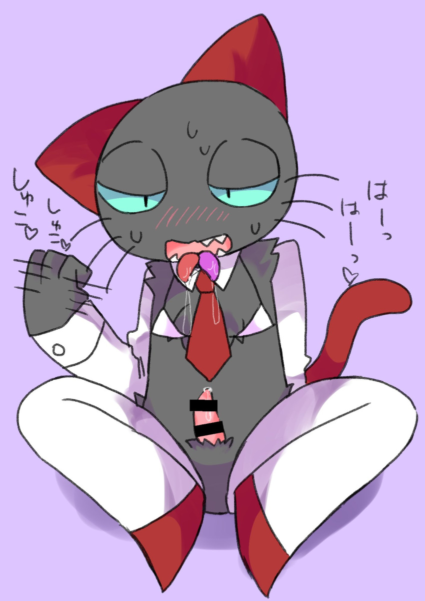 animal_genitalia bikini_top black_fur blue_eyes blush censored censored_penis crossdressing feline japanese_text kobayashi_(teach_the_cat) male multi_tongue oyasaioni9 penis red_ears red_tail reverse_bunnysuit saliva sweating teach_the_cat tie twitter whiskers