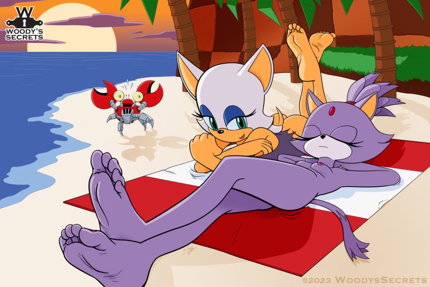 ass bat beach beach_towel blaze_the_cat breasts catgirl crabmeat crossed_legs feet feet_up feline foot_fetish foot_focus furry furry_female humanoid laying_down laying_on_back laying_on_stomach light-skinned_female light_skin naked nude nude_beach nude_female palm_tree purple_fur purple_hair robot rouge_the_bat shadow shore sole_female soles sonic_(series) sonic_the_hedgehog_(series) sunset the_pose toes wings woodyssecrets