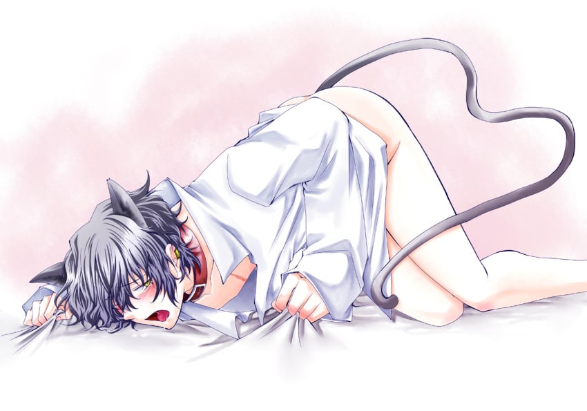 2009 all_fours animal_ears ass_up bishonen bishounen black_hair blush bottomless cat_ears cat_tail catboy collar ear_piercing face_down_ass_up gilbert_nightray hanamaru_(pixiv) kemonomimi looking_back male male_only open_mouth pandora_hearts scar sheet_grab solo twink yellow_eyes