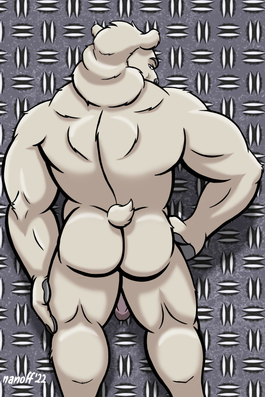 2022 anthro ass back_muscles bear biceps centerfold deltoids genitals hand_on_hip hand_on_leg hand_on_thigh hi_res looking_at_viewer looking_back male mammal manly metal muscular muscular_butt muscular_thighs nanoff pattern_background penis pinup polar_bear pose simple_background solo triceps ursine