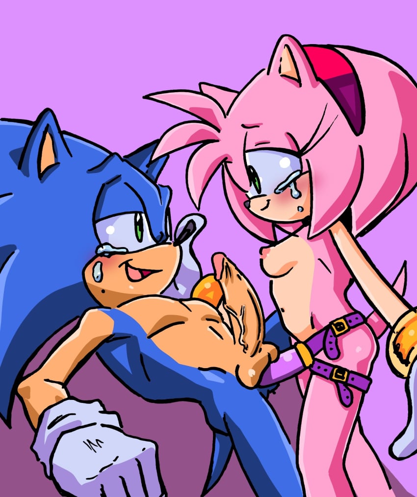 amy_rose anthro blush breasts duo eye_contact missionary_position pegging randomguy999 sensual sex_toy small_breasts smile sonic_(series) sonic_the_hedgehog straight strap-on tears tears_of_pain tears_of_pleasure wholesome