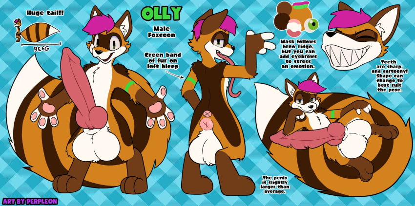 animal_genitalia animal_penis anus big_penis big_tail canid canine canine_genitalia canine_penis english_text fox genitals hi_res huge_cock hybrid hyper hyper_genitalia hyper_penis long_tongue male mammal model_sheet olly_wylde_(ollythefoxcoon) pawpads penis perpleon procyonid puffy_anus raccoon sharp_teeth sheath smile tail teeth text tongue wide_smile