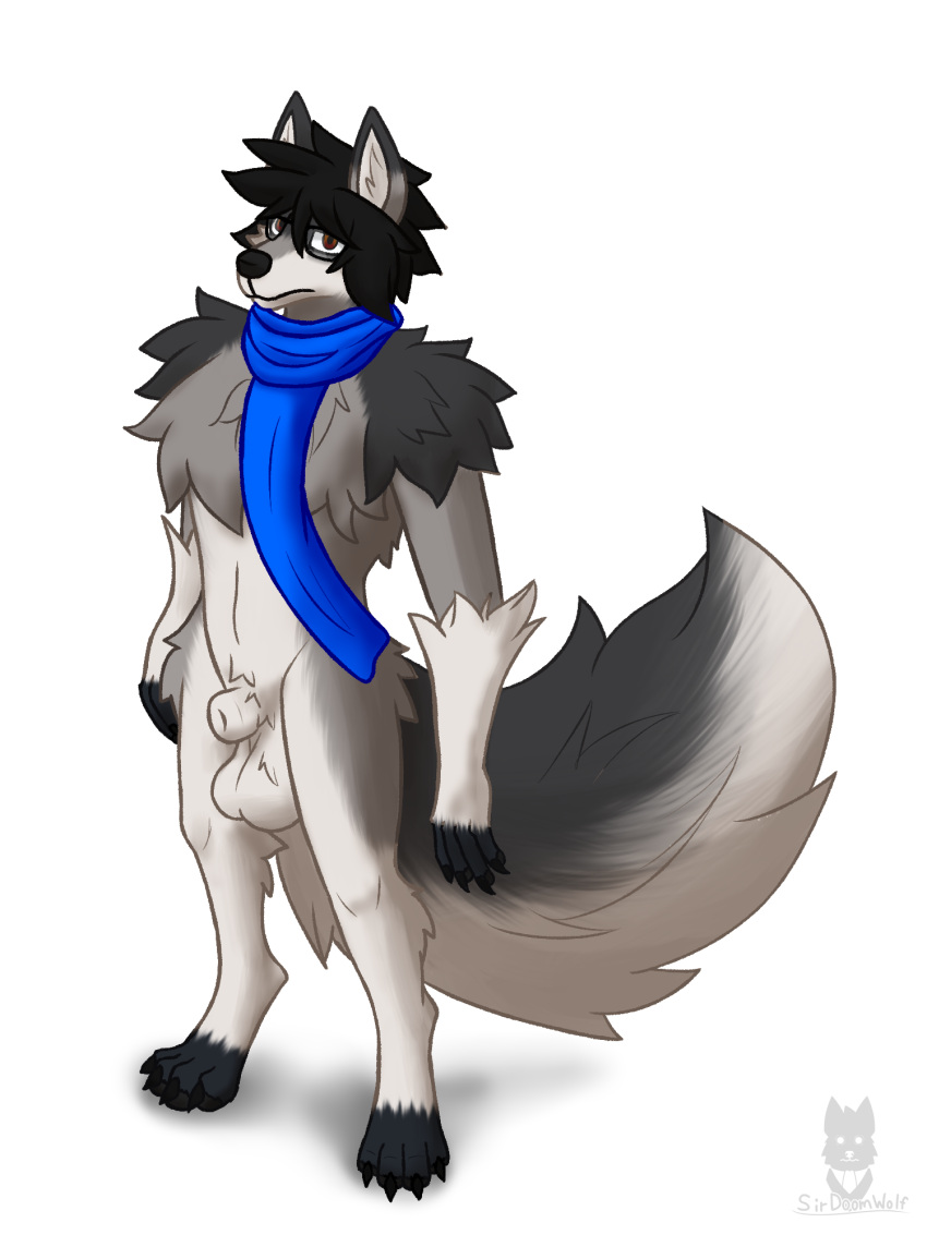 animal_genitalia anthro balls canid canine canis eyewear fluffy fluffy_tail genitals glasses hair hi_res male mammal nude scarf sheath simple_background sirdoomwolf solo tail void_doomwolf wolf