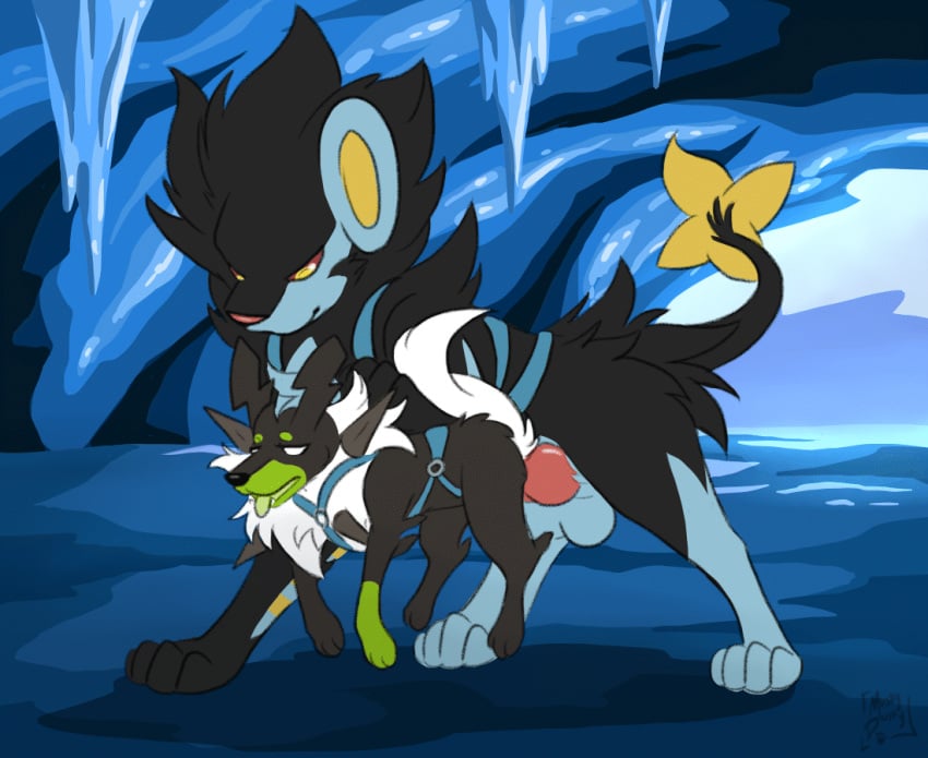 ambiguous_penetration animated balls black_body black_fur canid canine cave dangling dangling_legs duo felid female feral feral_only fur generation_4_pokemon genitals harness hybrid ice ice_cave knot legendary_pokemon lone_(lonewolffl) luxray male male/female mammal muskydusky nintendo penetration penis pokemon pokemon_(species) sex short_playtime size_difference straps tongue tongue_out zygarde_10_forme