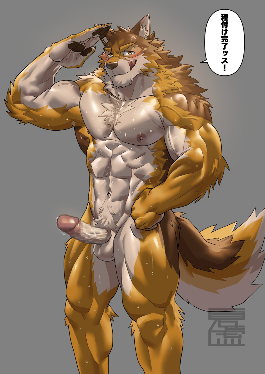 abs absurd_res anthro balls barrel_(live_a_hero) bodily_fluids canid canine canis erection genital_fluids genitals gesture hi_res lifewonders live_a_hero male mammal muscular muscular_anthro muscular_male natsunouro nipples nude pecs penis precum salute solo sweat wolf