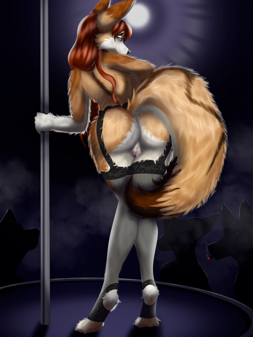 absurd_res anthro ass auburn_hair audience brandy_cass_(vixym) canid canine clothing crossed_legs dancing female fennec fluffy fox garter_belt garter_straps genitals group hair hi_res legwear long_hair looking_at_viewer looking_back looking_back_at_viewer mammal markings oldoldman pink_pussy pole pole_dancing pussy red_hair smoke solo spotlight stockings tail tail_markings ych_result