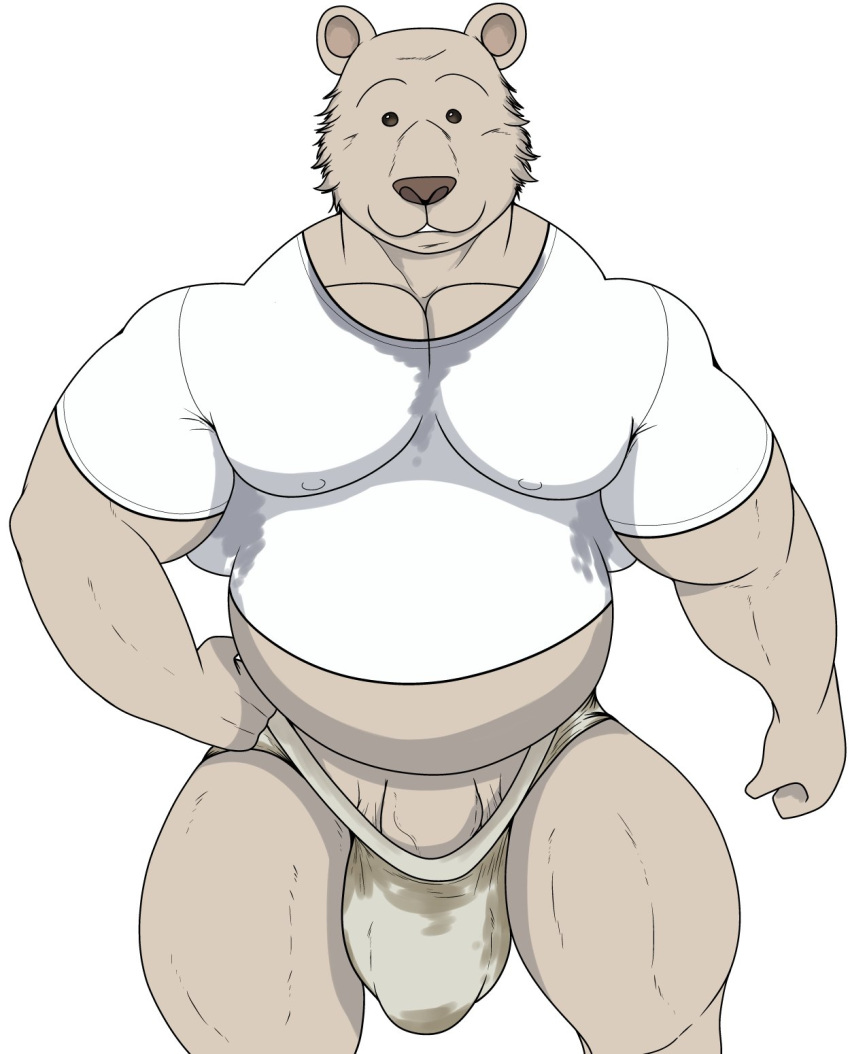 2023 anthro beady_eyes bear beastars big_biceps big_bulge brown_bear brown_nose bulge closed_smile clothing front_view fur genital_outline genitals hand_on_hip hi_res looking_at_viewer male male_only mammal mouth_closed musclegut pantsless penis penis_base penis_outline riz_(beastars) ryanmakana shirt simple_background solo tan_body tan_fur thick_thighs thong topwear underwear ursine white_background white_clothing white_shirt white_topwear