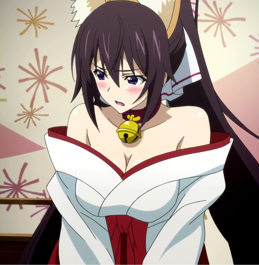 Shinonono Houki (Infinite Stratos) Rule 34 Image