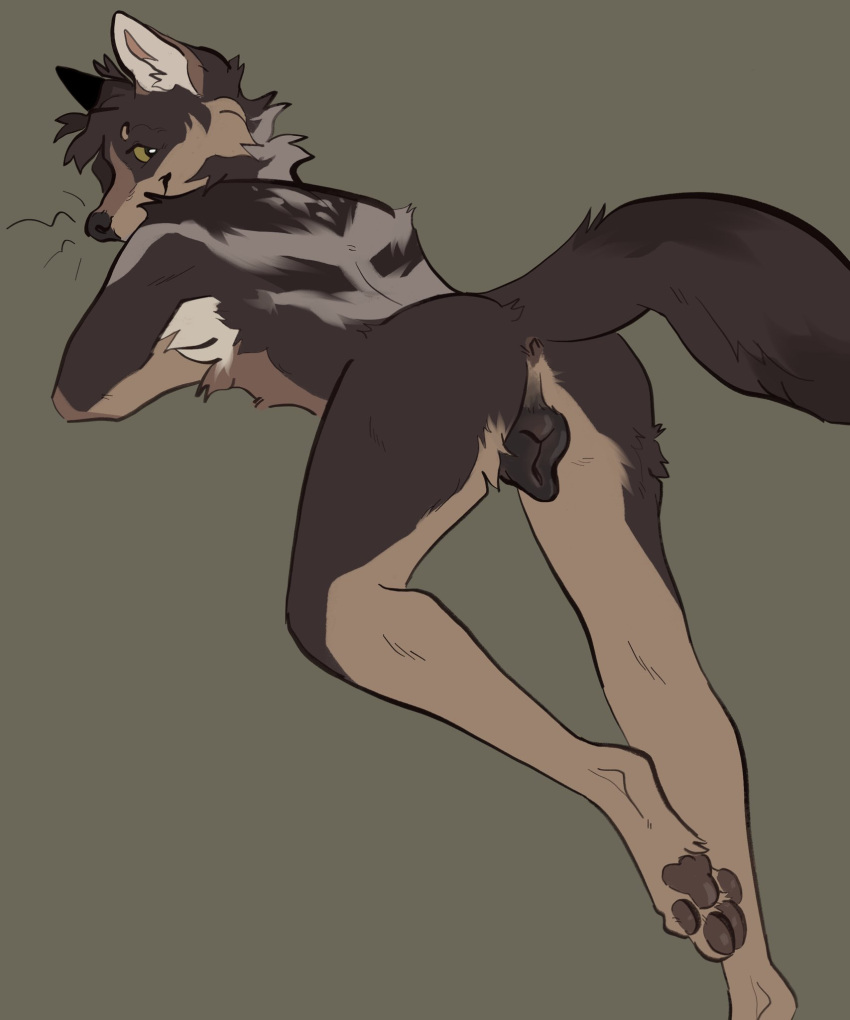 Animal Genitalia Rule 34 Image