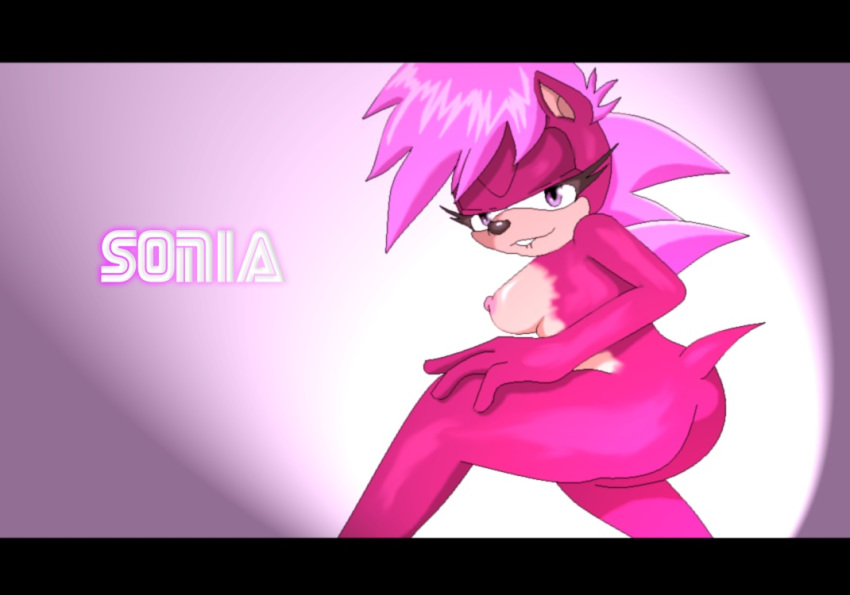 anthro ass biting_lip breasts character_name color eyelashes female female_only fur furry furry_ass furry_ears hand_on_leg hedgehog jackknife87 looking_at_viewer looking_left nipples nude pink_eyes pink_fur pink_hair pink_nipples pointy_ears solo sonia_the_hedgehog sonic_(series) sonic_underground squatting uncensored