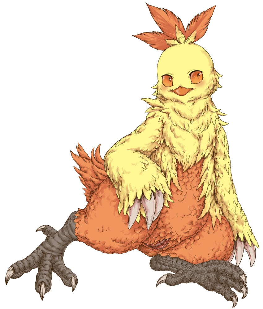 blush bubonikku claws combusken feathers female feral hi_res masturbation nintendo orange_eyes plain_background pokémon_(species) pokemon pussy pussy_juice solo video_games white_background wide_hips