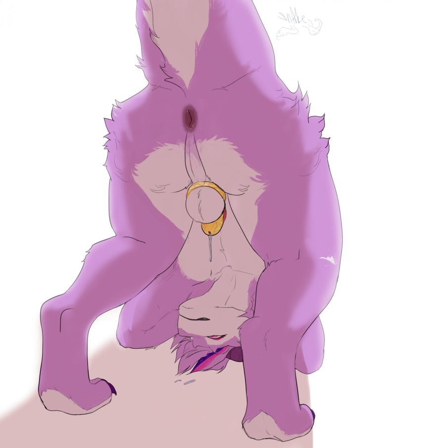 anthro anus ass backsack balls bent_over bodily_fluids chastity_cage chastity_device dripping feet fur furred_kobold genital_fluids genitals hi_res kobold male male_only penis precum precum_drip presenting presenting_hindquarters purple_body purple_fur small_penis snake28 solo solo_male