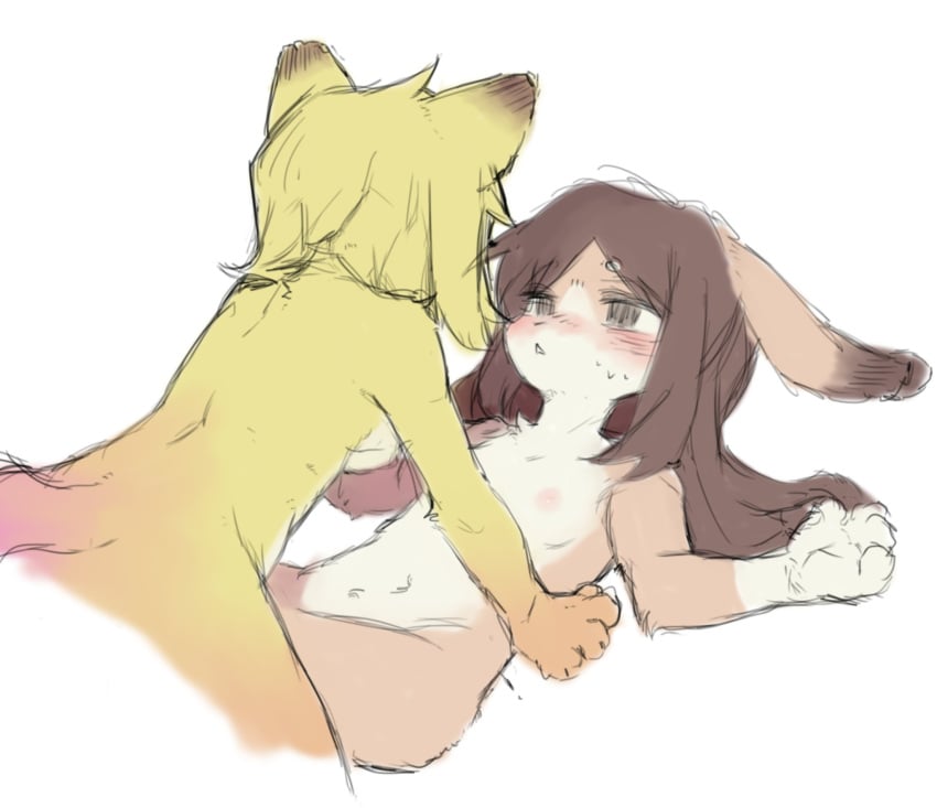 crayon_(artist) female fur furry furry_breasts furry_ears furry_only furry_tail tagme