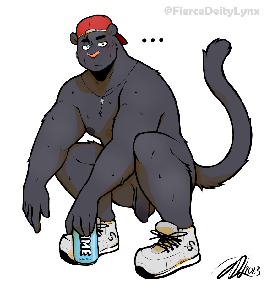 absurd_res anthro backwards_baseball_cap backwards_hat balls baseball_cap beverage_can blue_eyes bodily_fluids can clothing container cross cross_necklace crouching felid fiercedeitylynx flaccid footwear genitals hat headgear headwear hi_res holding_can holding_container holding_object humanoid_genitalia humanoid_penis jewelry kenny_(fiercedeitylynx) looking_at_viewer male mammal necklace nude pantherine penis shoes simple_background sneakers solo sweat sweatdrop white_background
male_only