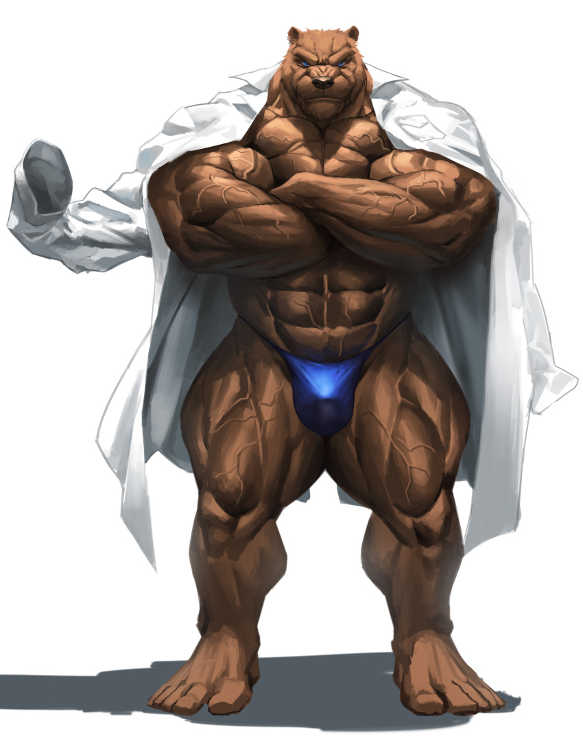 1boy 2022 5_toes absurd_res anthro barazoku barefoot bear big_muscles black_nose blue_eyes brown_body brown_fur bulge clothed clothing coat crossed_arms echin feet fur hi_res huge_muscles humanoid_feet lab_coat male male_only mammal muscular muscular_anthro muscular_male plantigrade pose simple_background solo speedo standing swimwear toes topless topwear ursine vein veiny_muscles white_background