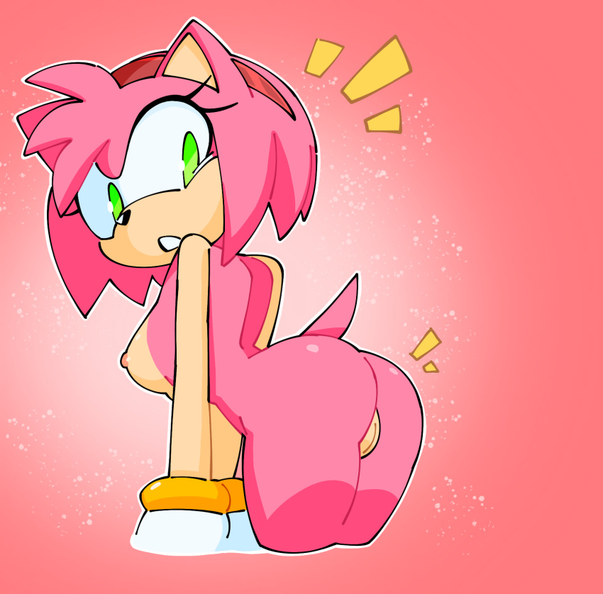 1girls 2d amy_rose female female_only green_eyes hedgehog hedgehog_humanoid mobian_(species) nipples png pussy quintzy_xd sega sonic_(series) sonic_the_hedgehog_(series) tagme