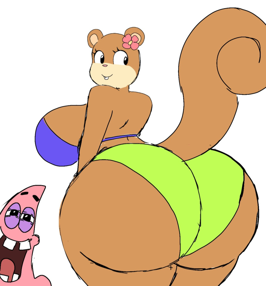 1boy 1boy1girl 1girls big_ass big_breasts big_butt bikini fat_ass female furry male momiji_(artist) nickelodeon patrick_star sandy_cheeks smooth_skin spongebob_squarepants squirrel starfish white_background