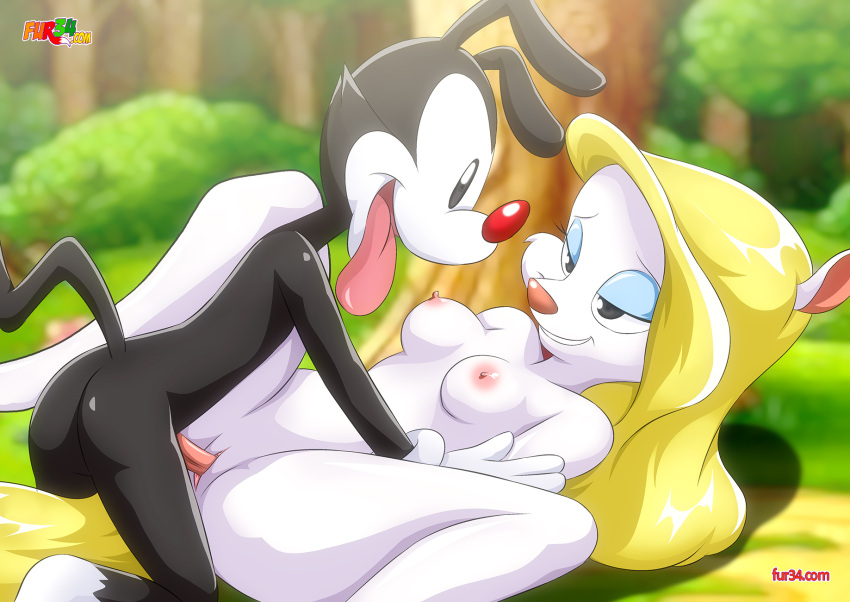 animaniacs anthro bbmbbf fur34 male/female minerva_mink palcomix straight warner_brothers yakko_warner