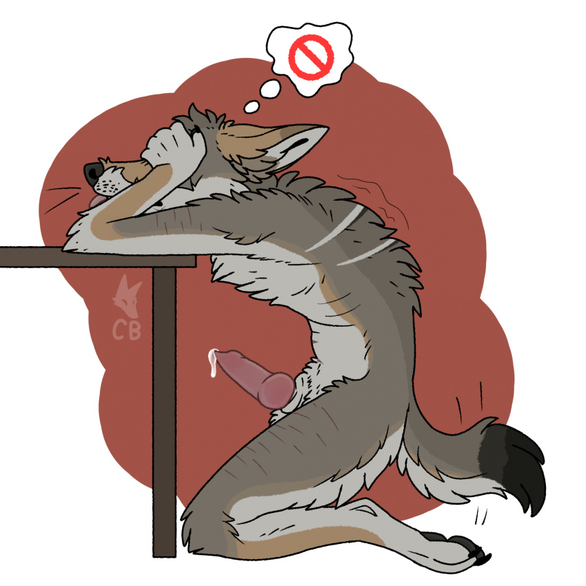 alpha_channel anatomically_correct animal_genitalia anthro black_pawpads blep brown_body brown_fur cackling-beast canid canine canine_genitalia canine_penis canis colored_line_art covering covering_eyes covering_face coyote daydream_(cackling-beast) ears_back embarrassed fur fur_tuft furniture genitals grey_body grey_fur hi_res kneeling leaning_on_table male mammal muzzle_scabs pawpads pivoted_ears scar simple_background solo solo_focus table tail tail_motion tailwag tan_body tan_fur thought_bubble tongue tongue_out transparent_background tuft watermark