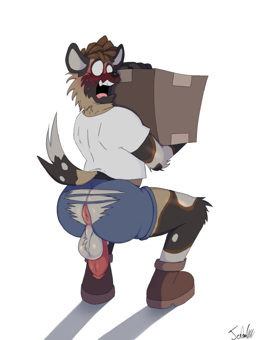 african_wild_dog anus ass ass_ripped balls big_anus big_butt blush bottomwear box canid canine cardboard cardboard_box clothing container darius_davis genitals hi_res jordanwolfie jordo_(artist) mammal penis shirt shorts topwear torn_clothing