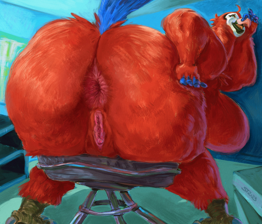 2023 anthro anus ass avian avian_feet beak beak_open big_anus big_breasts big_butt bird blue_body blue_feathers blue_markings blue_tail_feathers blue_wall brachiosass breasts butt_grab digital_media_(artwork) digital_painting_(artwork) expressionism eyelashes feathers female furniture genitals hand_on_beak hand_on_butt hi_res holding_nose huge_butt inside katie_(sssonic2) markings nude overweight overweight_female parrot pink_beak presenting pussy rear_view red_body red_feathers shelf signature sitting sitting_on_stool solo white_body white_feathers white_markings