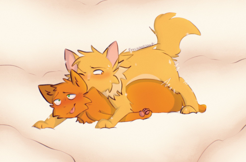 cloud domestic_cat duo felid feline felis feral feral_on_feral feral_penetrated feral_penetrating feral_penetrating_feral firestar_(warriors) freckledcoat fur hi_res lionheart_(warriors) male male/male male_penetrated male_penetrating male_penetrating_male mammal orange_body orange_fur penetration sex smile tongue tongue_out warriors_(cats) yellow_body yellow_fur