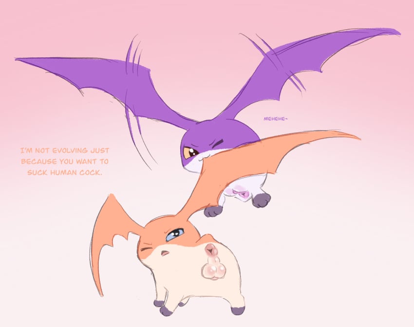 anus balls bandai_namco digimon digimon_(species) dominant dominant_female duo female feral flying genitals head_wings hi_res labbit1337 male orange_body patamon purple_body tsukaimon wings