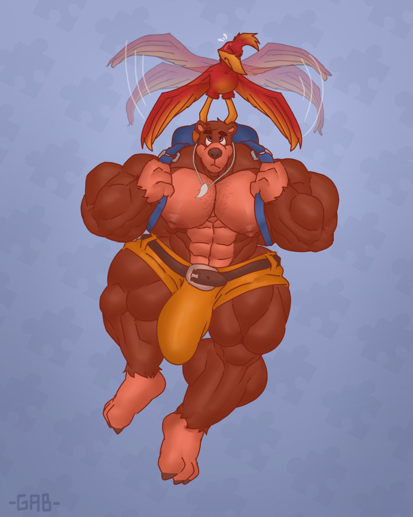 1boy abs anthro anthromorph backpack banjo-kazooie banjo_(banjo-kazooie) bara bear biceps big_pecs bird brown_fur brown_hair bulge female flaccid furry gab_art gay heavy_penis huge_bulge hyper hyper_balls hyper_genitalia hyper_penis hyper_testicles kazooie looking_up male male_focus male_only movement_lines muscle muscles muscular muscular_arms muscular_ass muscular_back muscular_legs muscular_male muscular_thighs necklace necklace_only nipples pecs swinging_penis thick_thighs tight_clothing tight_pants video_game_character video_games