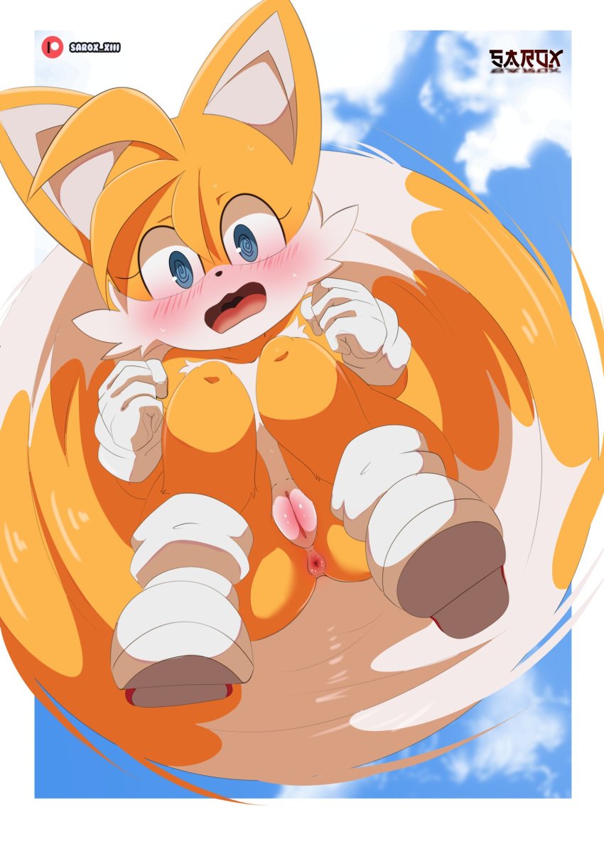 anthro anus ass blue_eyes blush canid canine cuntboy fox genitals hi_res intersex looking_at_viewer mammal mobian_(species) orange_body plump_labia pussy rule_63 sarox sega solo sonic_(series) sonic_the_hedgehog_(series) tails tailsko vagina white_body