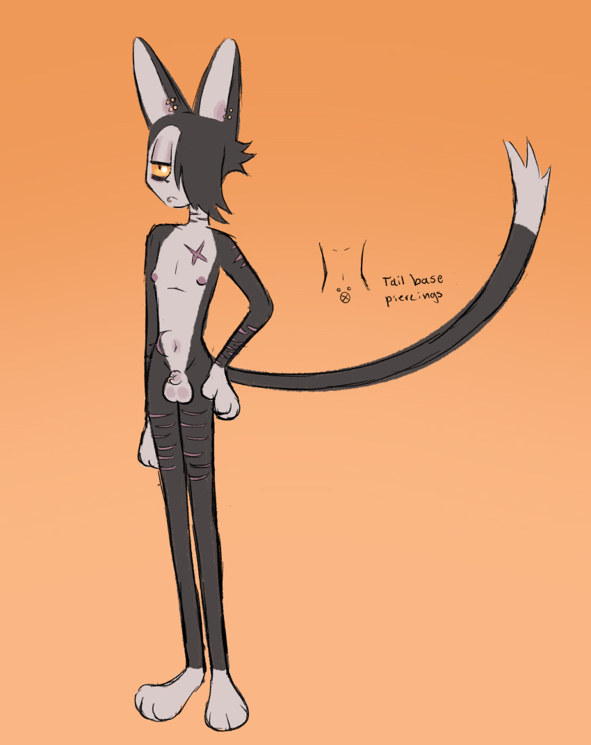 Absurd Res Rule 34 Image