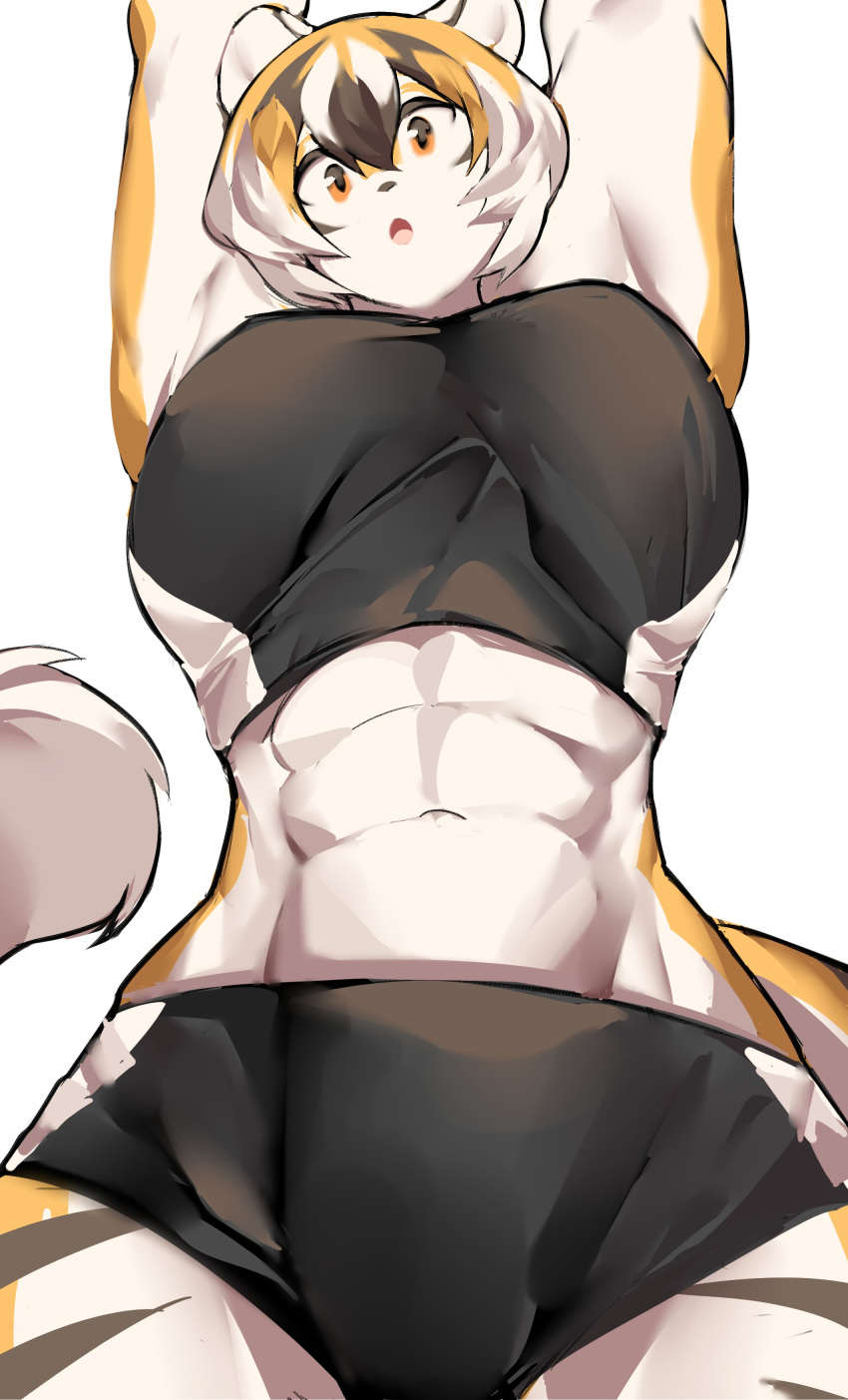 1girls 2d abs amber_eyes anthro arknights aspirindabaitu big_breasts breasts female female_only furry furry_female furry_only mx99926 simple_background solo solo_female sports_bra tagme tiger tiger_girl waai_fu_(arknights) white_background