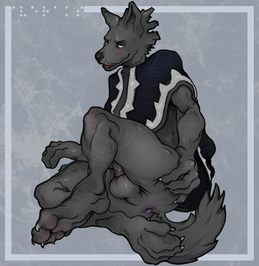 animal_genitalia anthro anus ass balls braille_text canid canine canis claws clothing digital_media_(artwork) genitals hi_res iveraks_(iveraks) male male_only mammal paws poncho sheath simple_background sitting smile smirk solo spread_butt spreading syn-6 text wolf